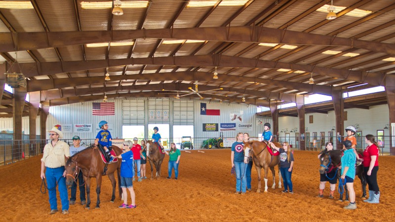 ROCK Equine-Assisted Therapy Programs