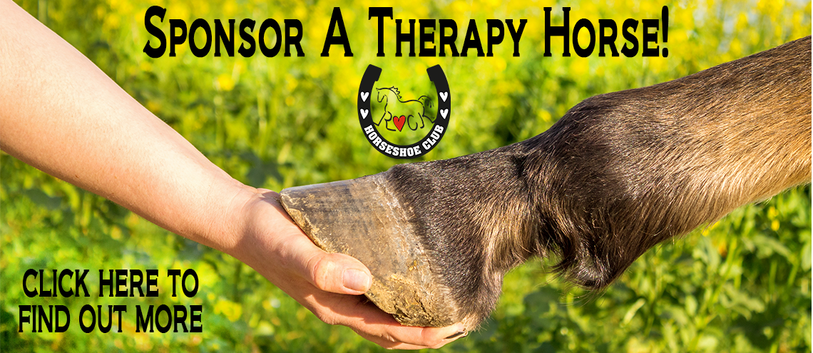 Horseshoe Club - Sponsor a Therapy Horse!