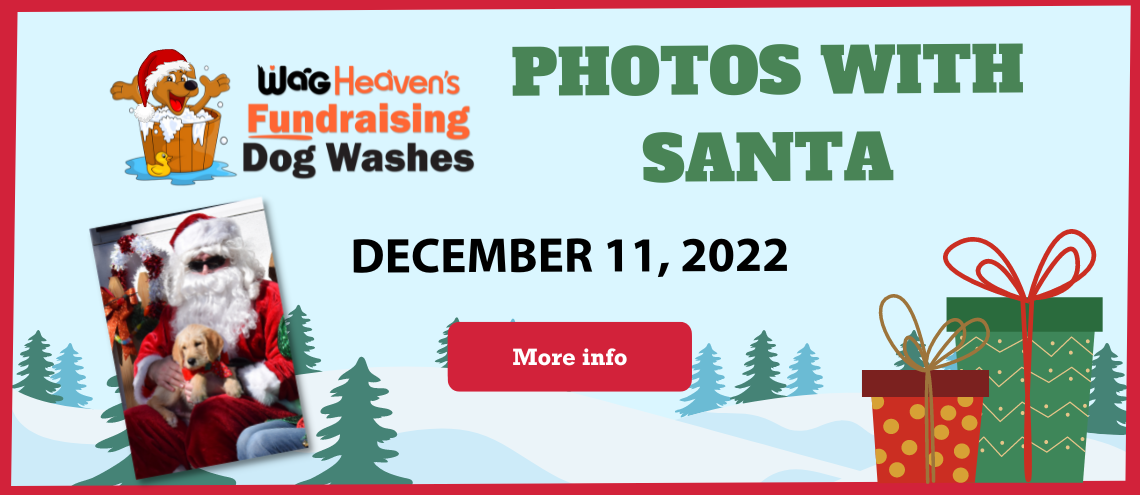 Wag Heaven Photos with Santa – slider