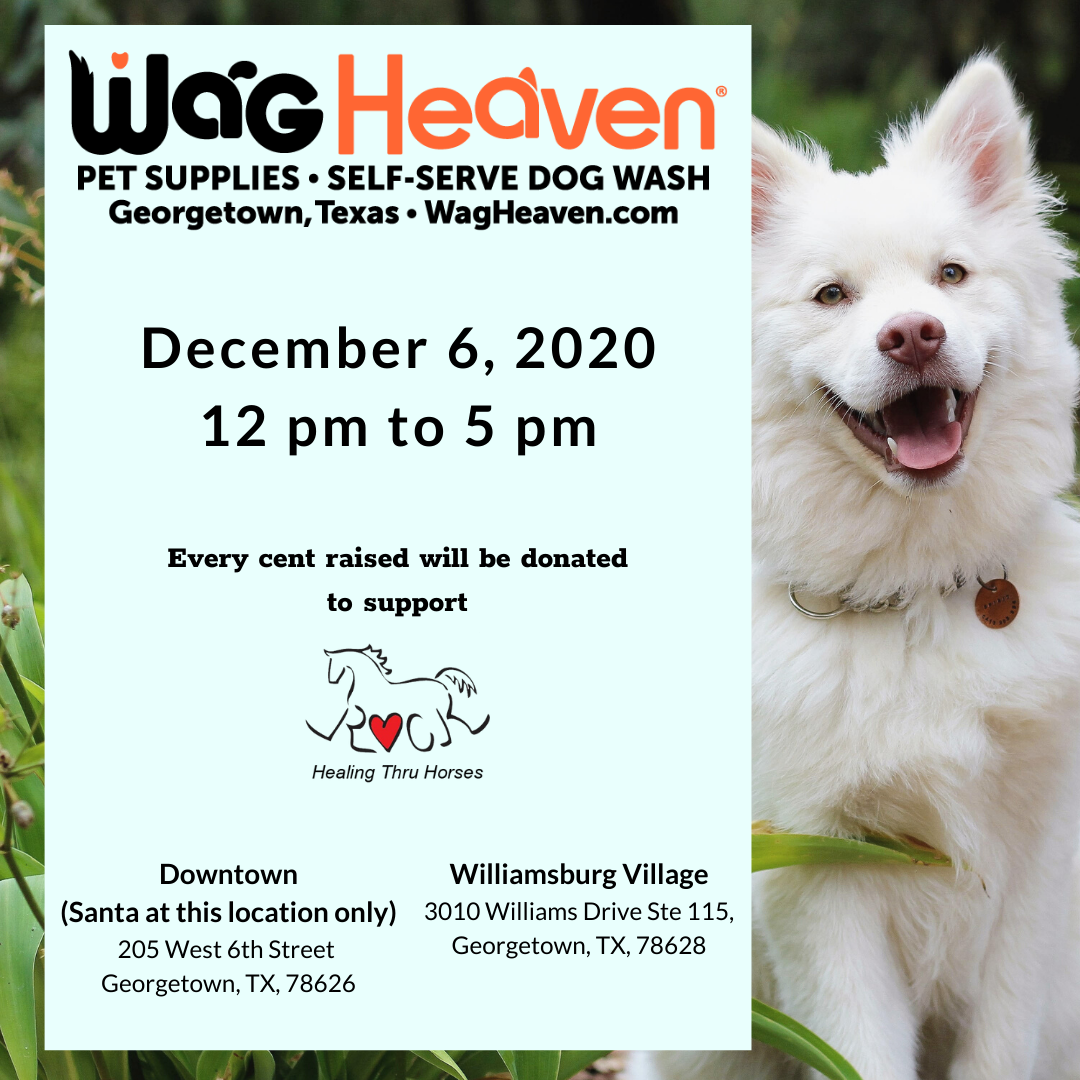 Wag Heaven dog wash fundraiser
