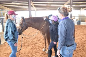 Sydney, her instructor Devon, and horse handler give Oakey a pat after class