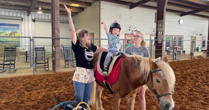 Your donation helps provide equine-assisted services to children, adults and veterans in Central Texas.