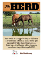 The Herd 3