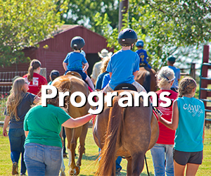 Programs