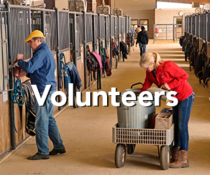 Volunteers
