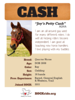 Cash