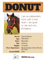 Donut