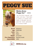Peggy Sue