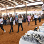 Cowgirl Bruch fundraiser at ROCK Georgetown, Texas