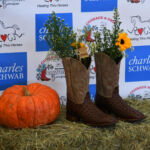 Cowgirl Bruch fundraiser at ROCK Georgetown, Texas