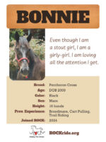 Bonnie