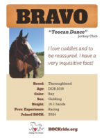 Bravo