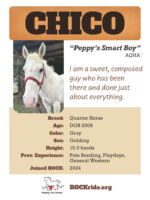 Chico