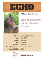 Echo