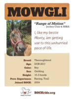 Mowgli