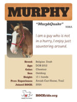 Murphy