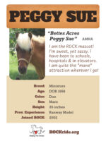 Peggy Sue