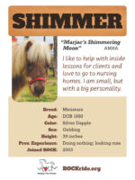 Shimmer