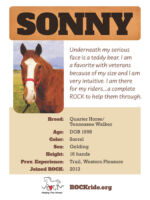 Sonny