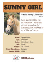 Sunny Girl